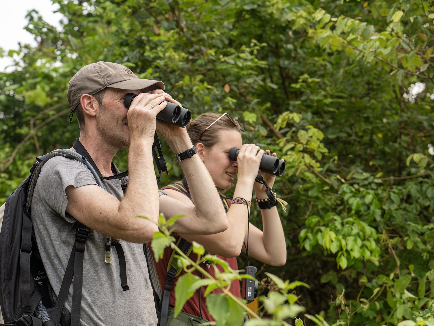 Tourists watching wildlife