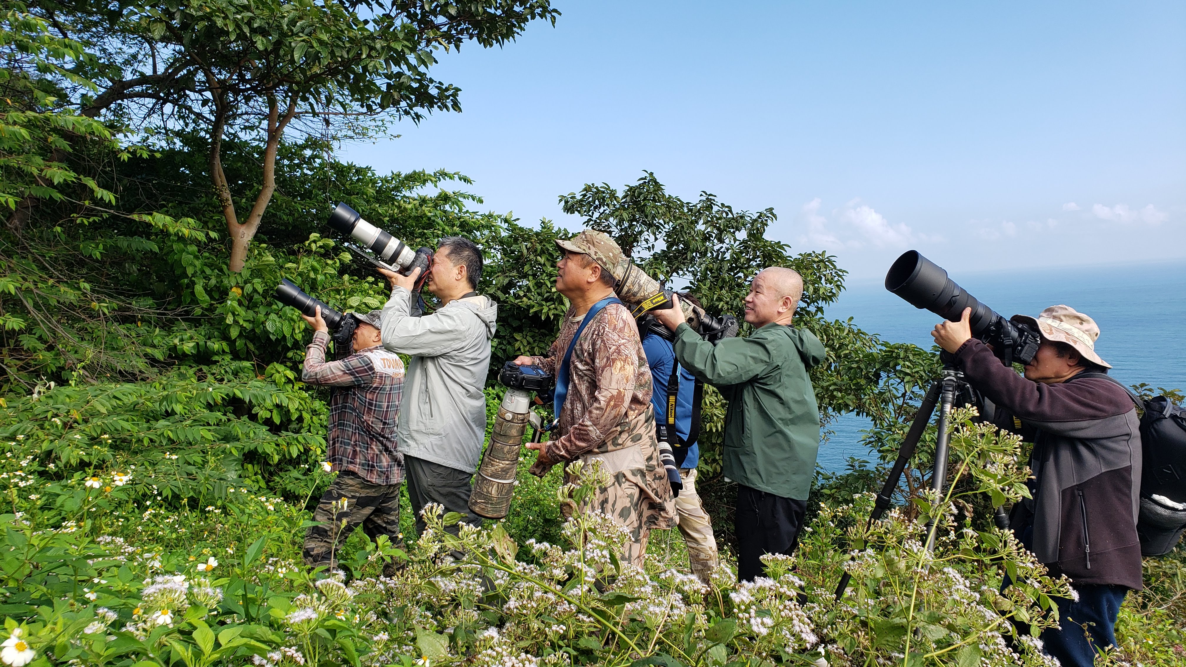 Tourists watching wildlife